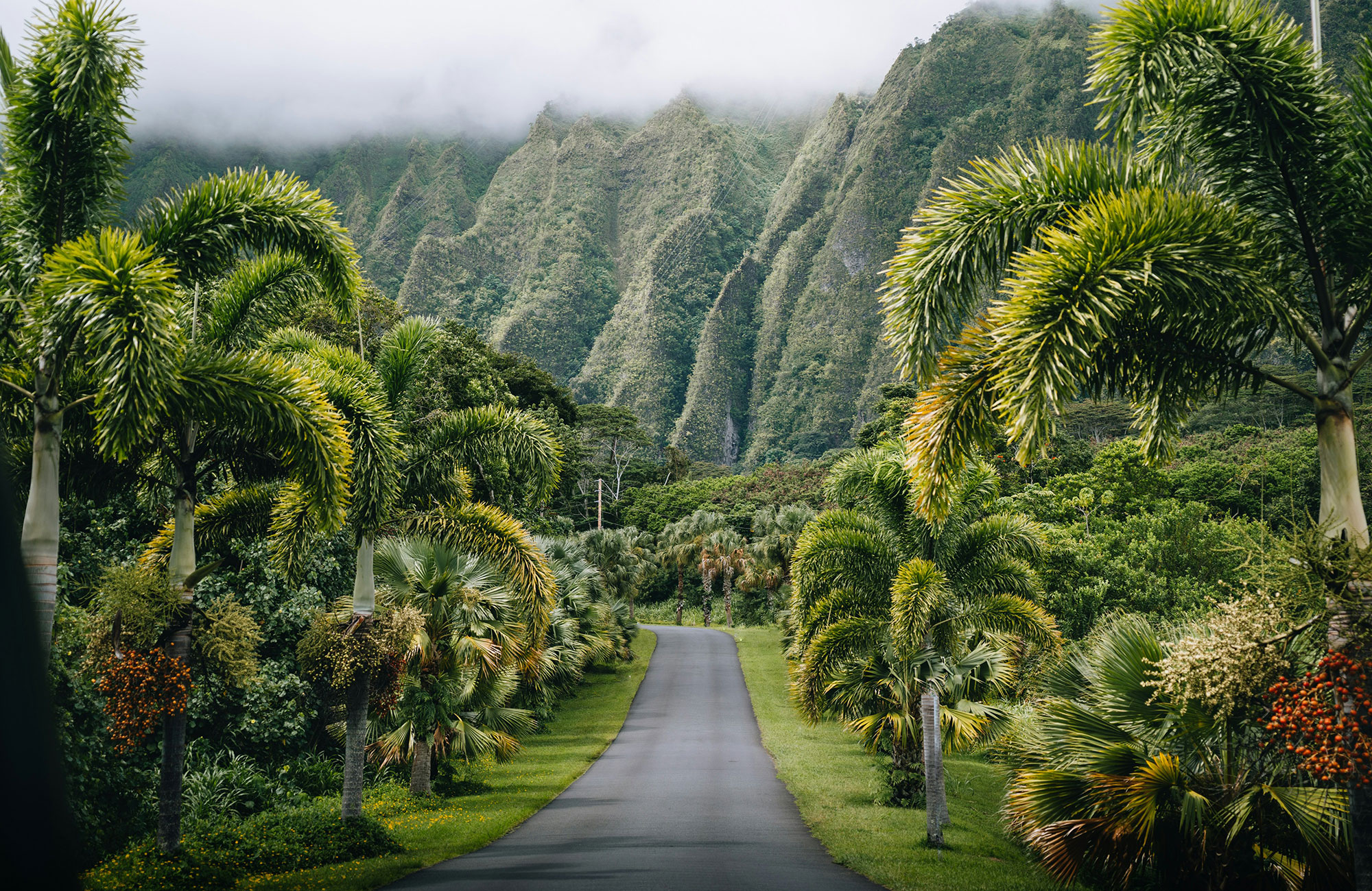 Resor till Hawaii med KILROY