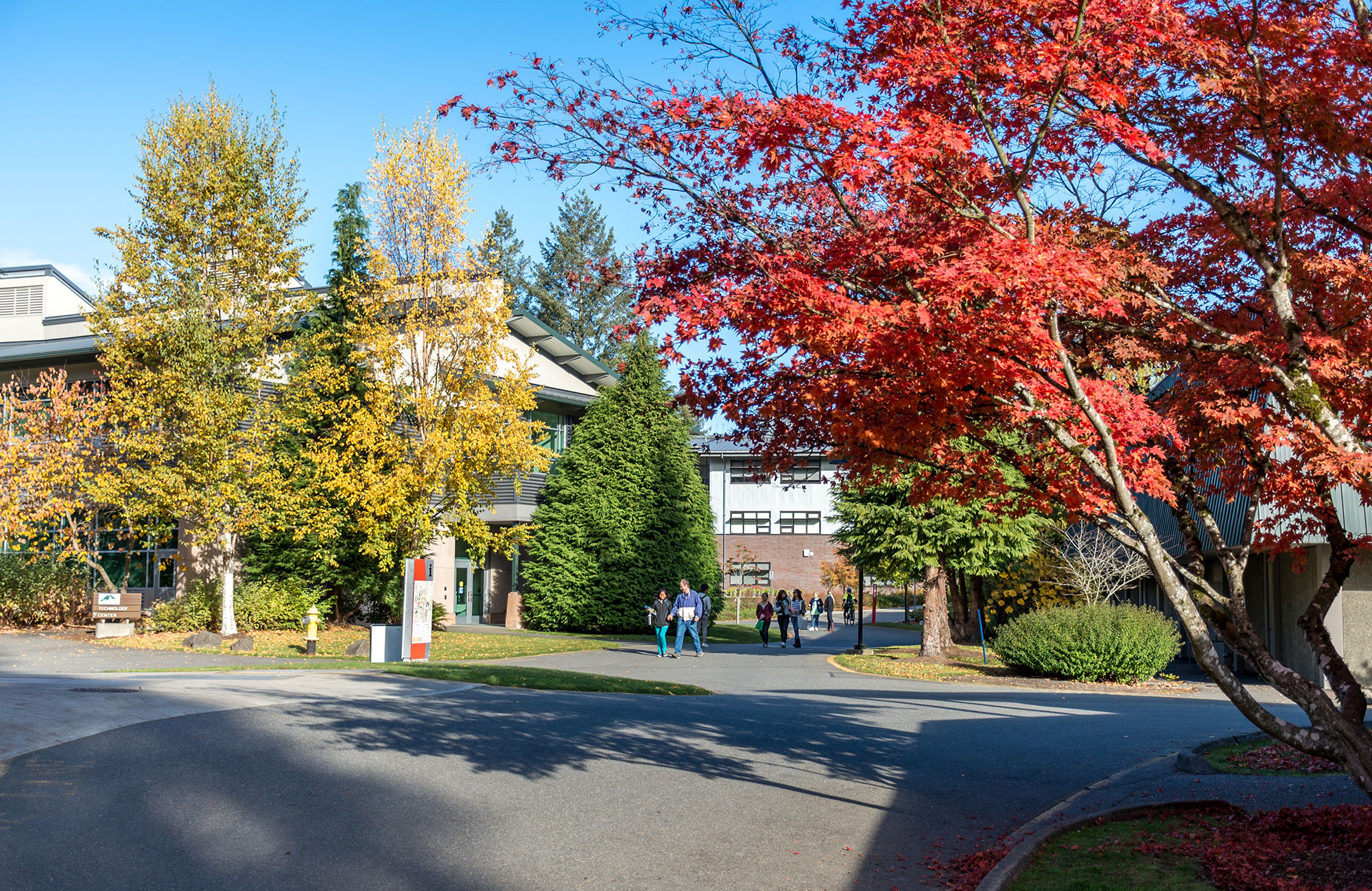 Green River College Campus