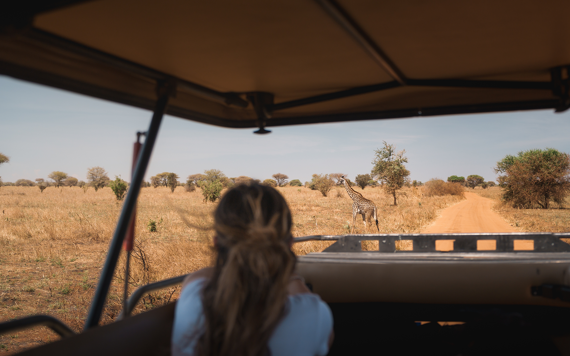 Safari i Tanzania med KILROY