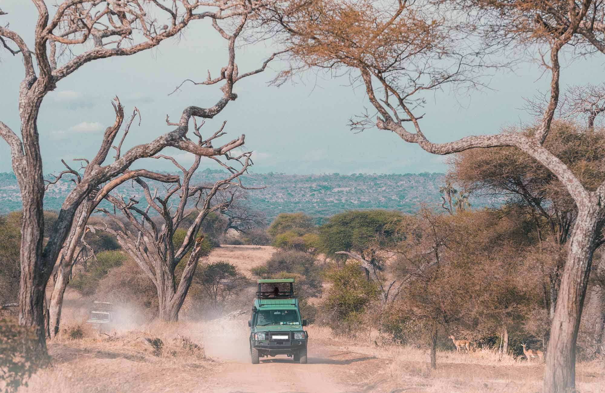 Serengeti National Park Tanzania