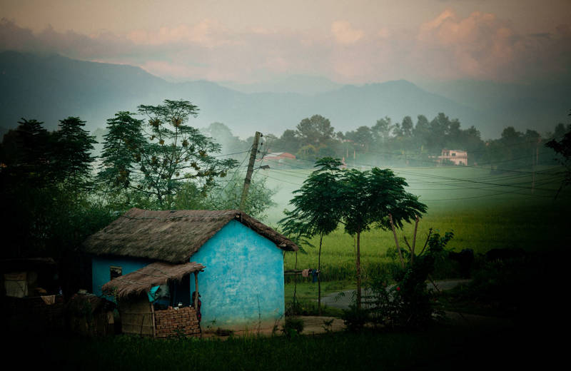 India House In Chitwan National Park