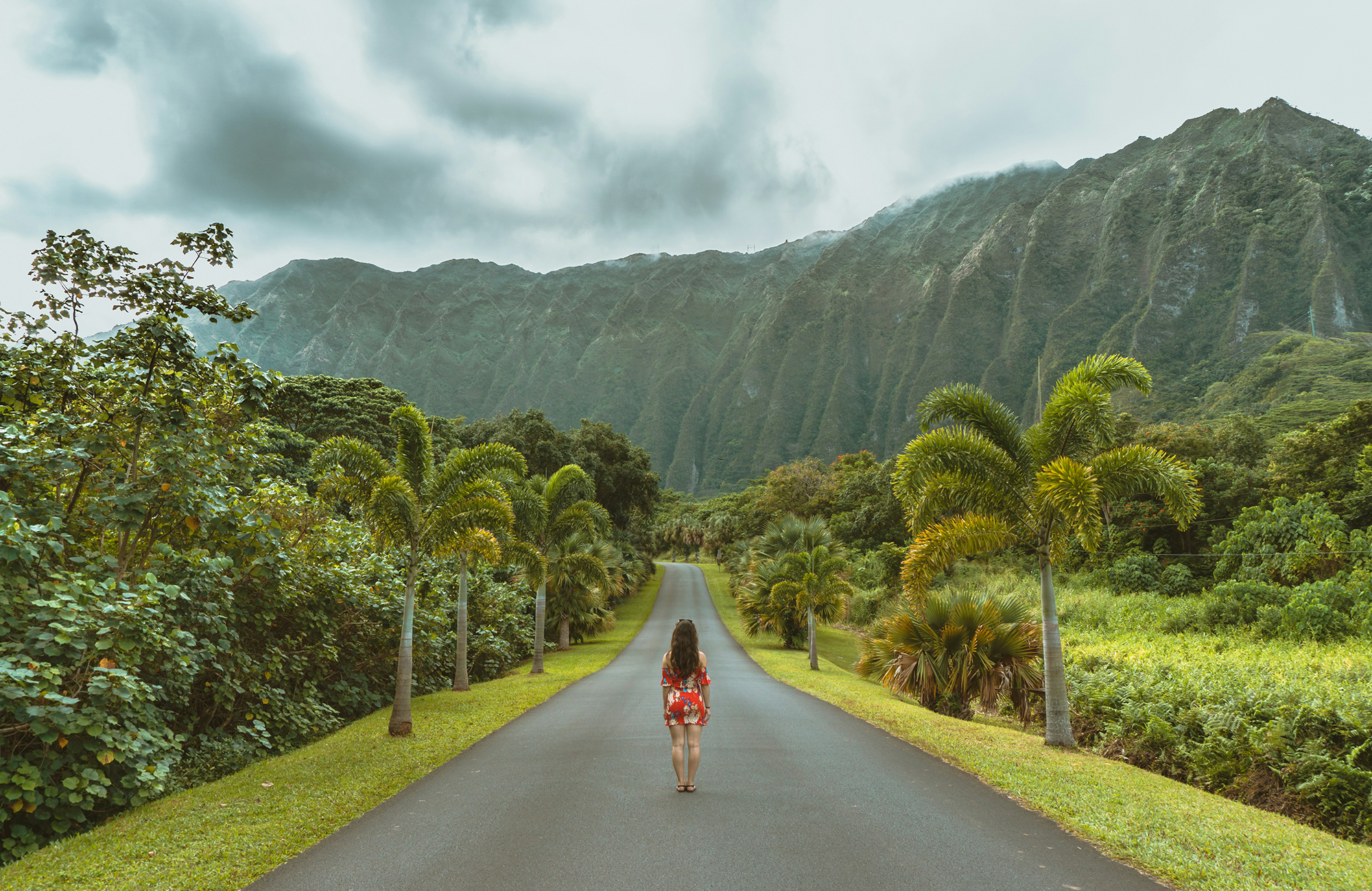 Hawaii Lush
